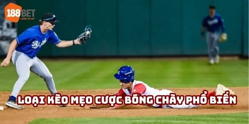 Loại kèo cược bóng chày phổ biến