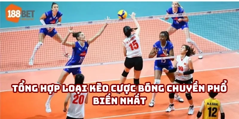 Những mẹo cược bóng chuyền tăng tỷ lệ ăn kèo